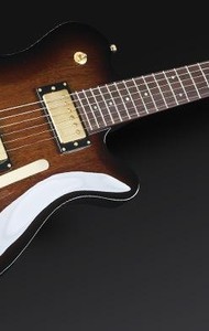 Framus Panthera